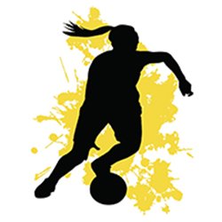 Logo Features 2
