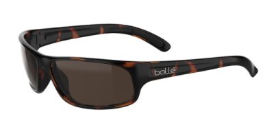 BOLLE - Anaconda