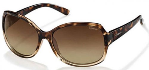 F8404 - Brown - Havana - 135