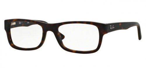 RB5268 - Clear - Matte Havana - 130
