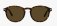 Tom Ford Sunglasses - Dante FT 0834 52J